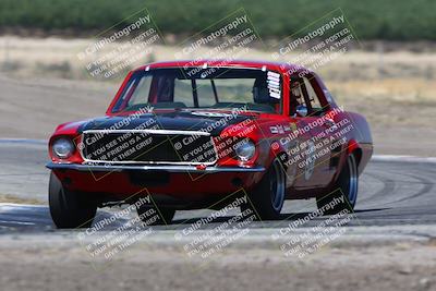 media/May-19-2024-VARA (Sun) [[bc1adde764]]/Group 5/Race (Outside Grapevine)/